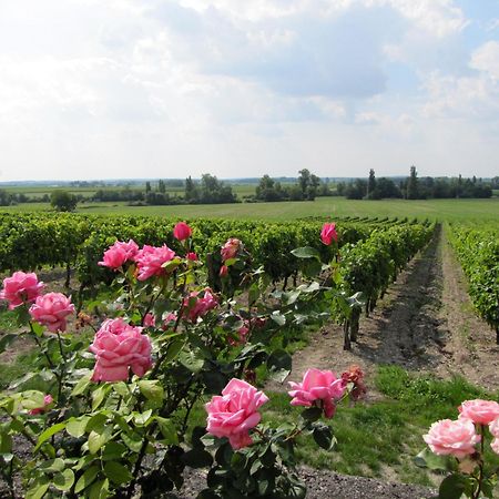 Chambre D'Hotes Clos Des Pierres Blanches Brie-sous-Archiac ภายนอก รูปภาพ