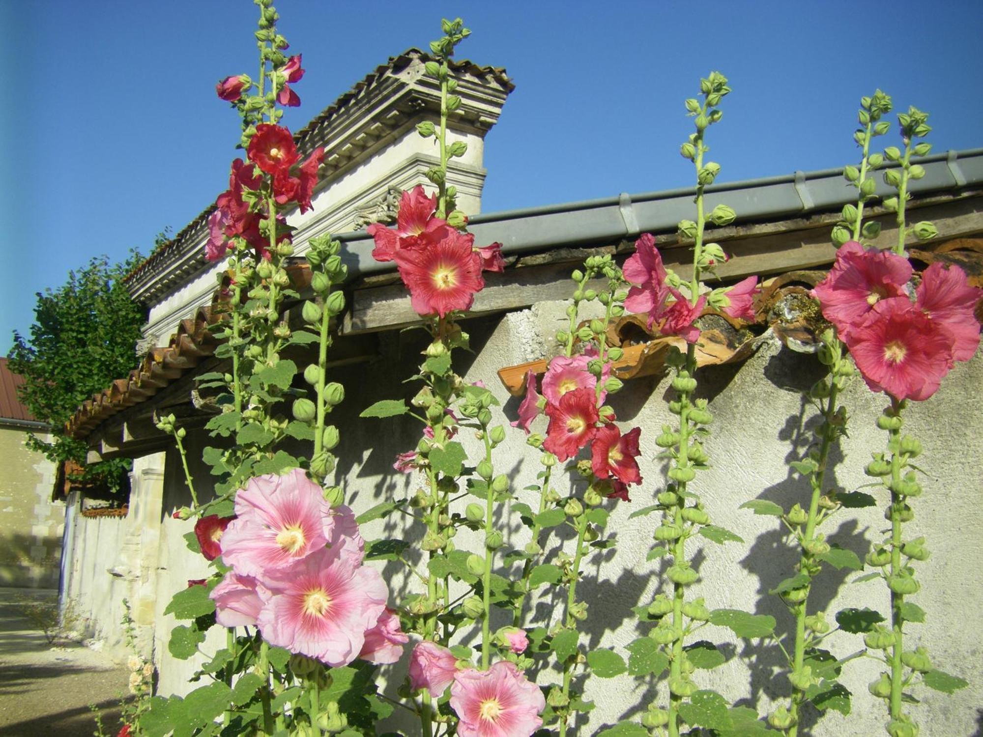 Chambre D'Hotes Clos Des Pierres Blanches Brie-sous-Archiac ภายนอก รูปภาพ